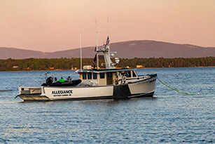 Patrol Vessel Allegiance