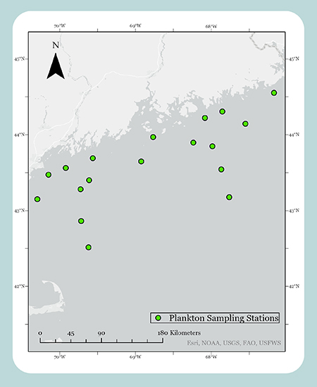 Plankton Sampling Stations