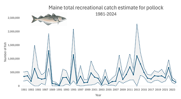Pollock total 2024 catch