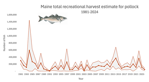 Pollock total 2024 harvest