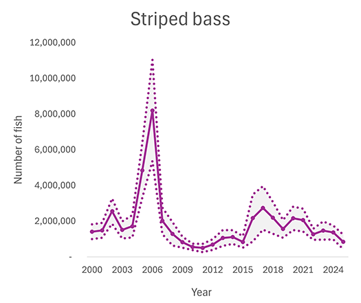 Recreational striped bass catch
