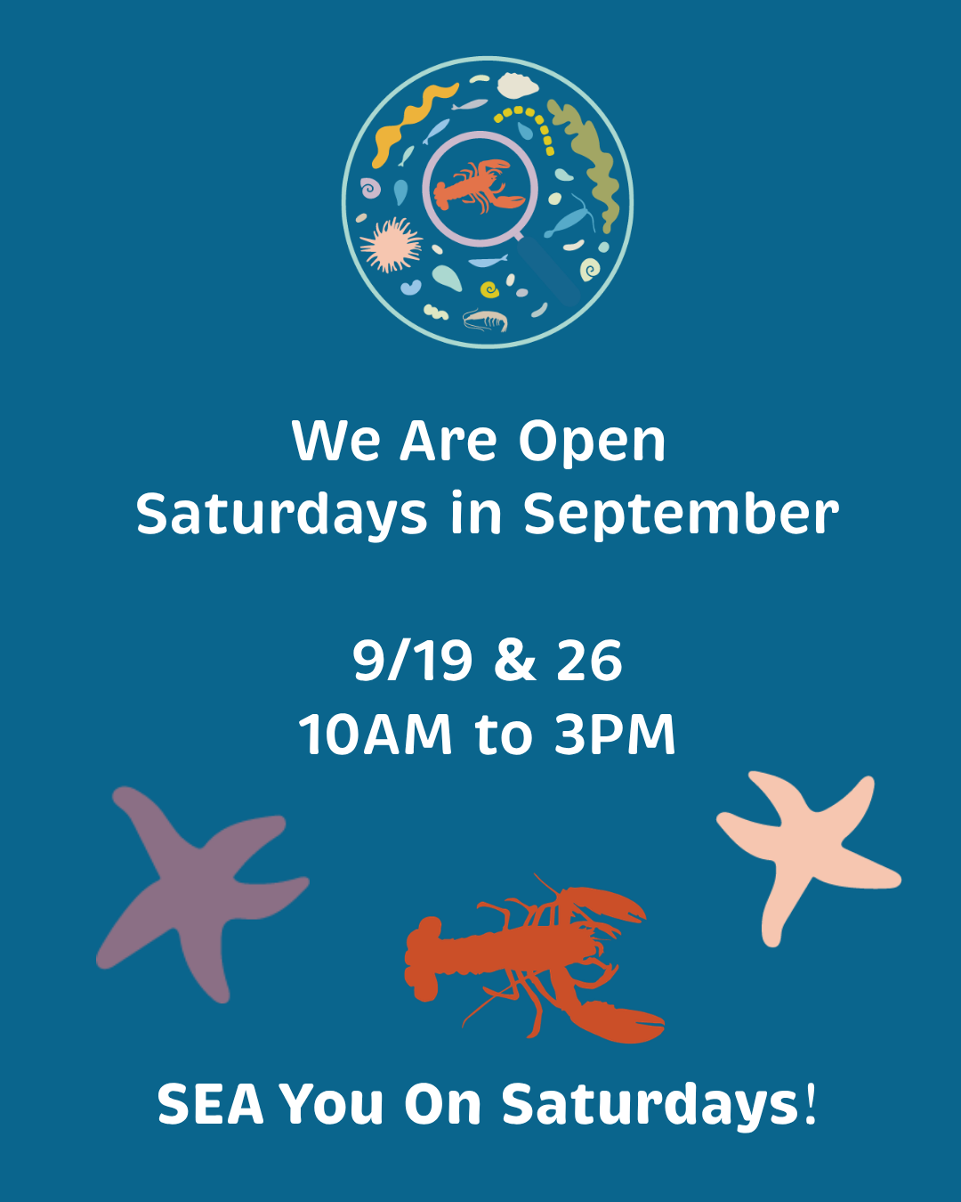 We are open Saturdays in September