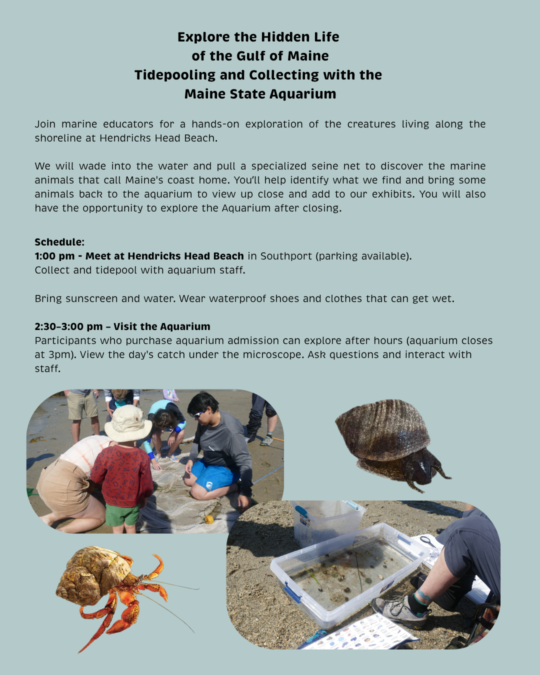 Go tidepooling with aquarium educators Friday 24 1pm Hendricks Head Beach