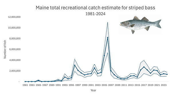 2024 Striped Bass Catch