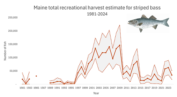 Striped Bass Total Harvest