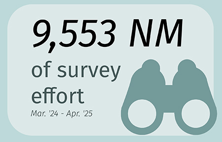 Survey Effort