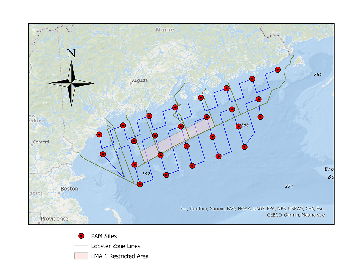 Vessel Survey Map