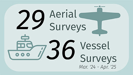 Total Visual Surveys