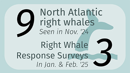 Right Whales Seen