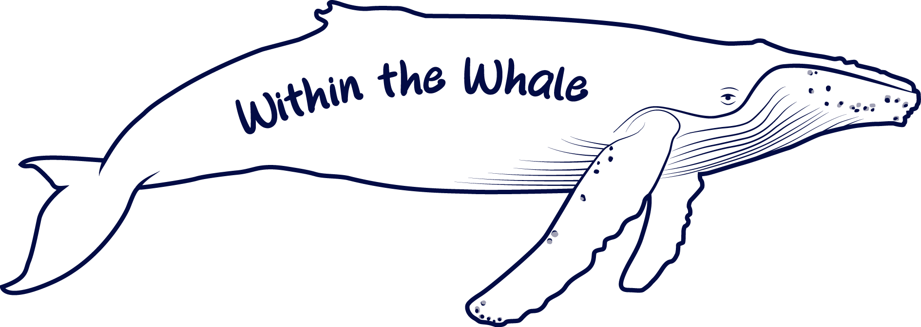Within the Whale logo