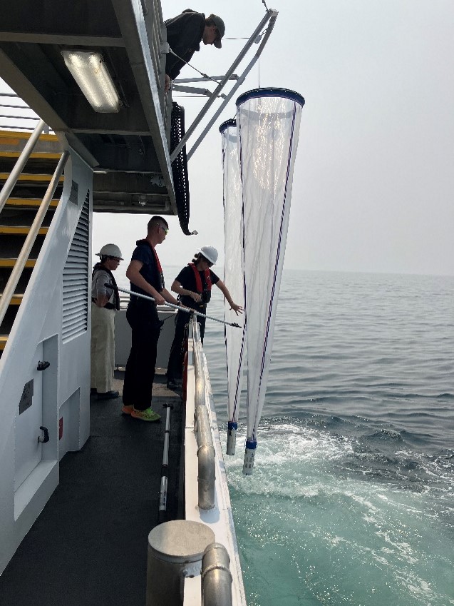 Zooplankton Net