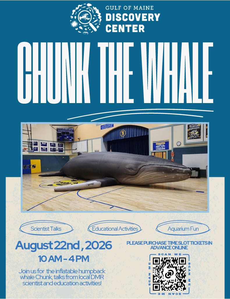 Chuck the Whale at the Aquarium