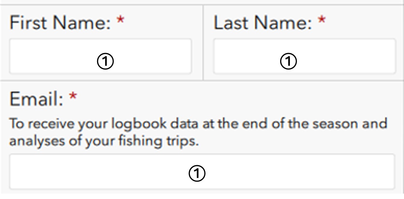 Enter your first name, last name, and email in the appropriate rows