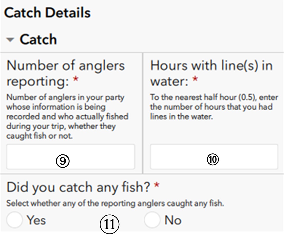 Enter catch details: number of anglers reporting, number of hours, lines in the water, fish caught (yes or no)