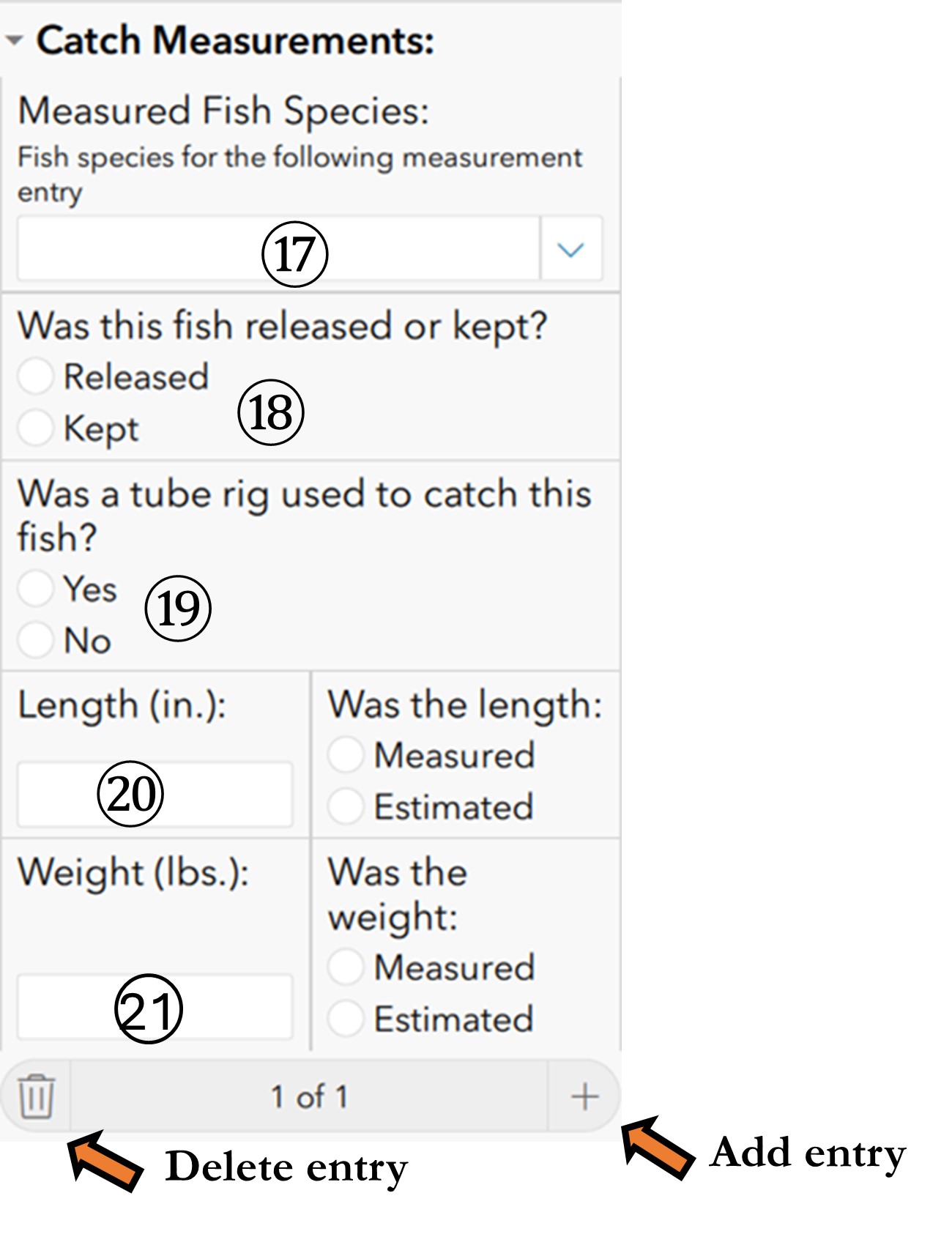 Indicate the measured fish species, kept or released, etc.