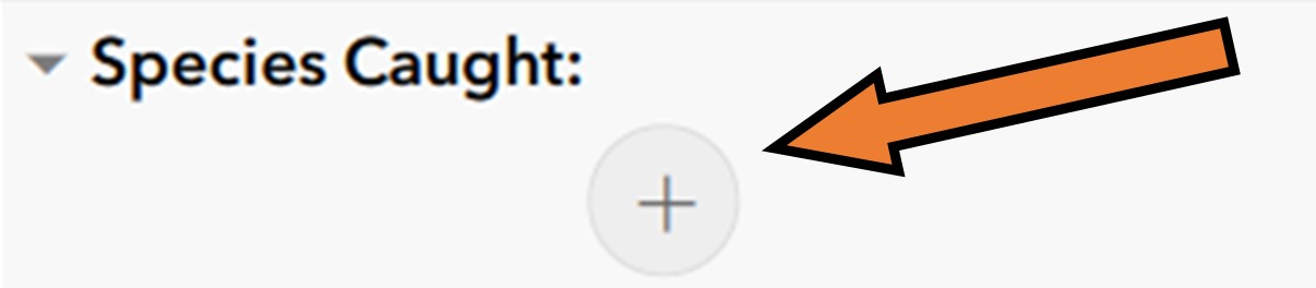 If you selected yes, you will see a fourth page in the survey