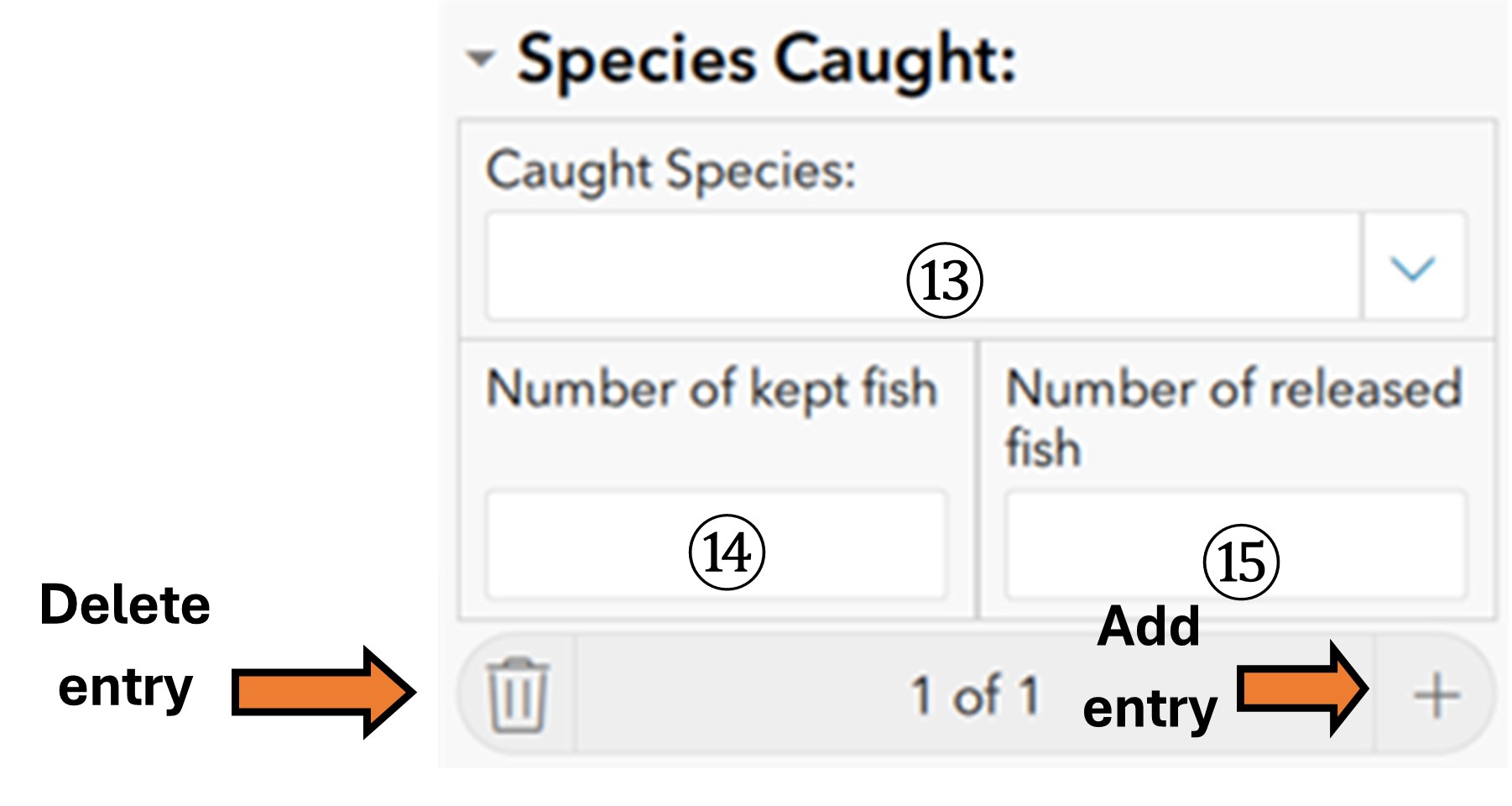 Enter caught species