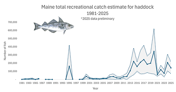 Haddock Total Catch 2025