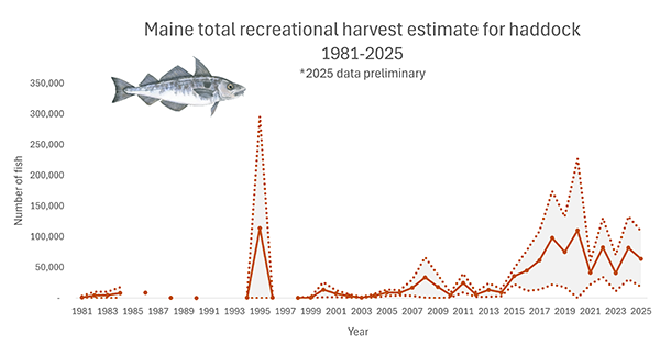 Haddock Total Harvest 2025