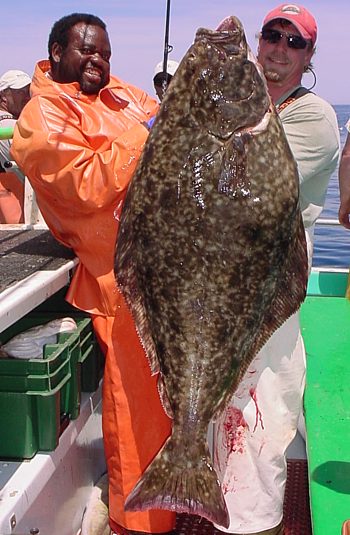 Men holding large halibut