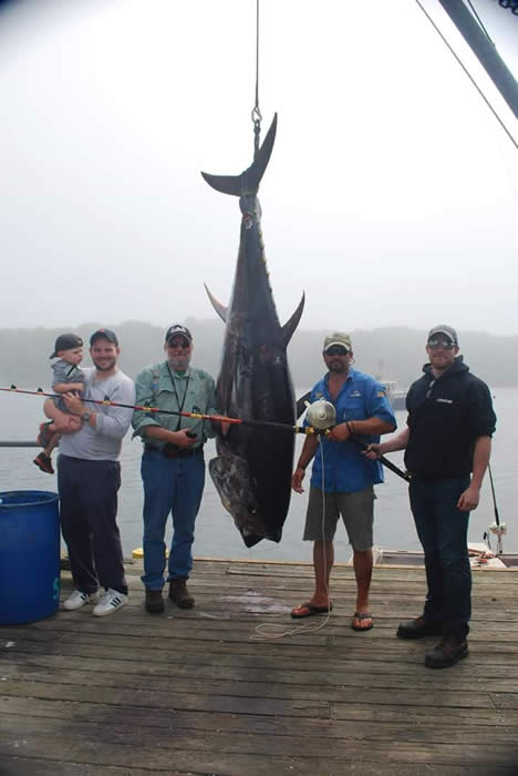 Men standing next to large hanging Bluefin Tuna