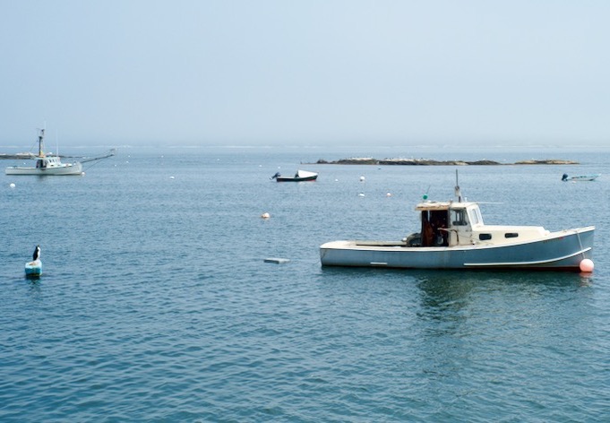 Lobster boats in harbor