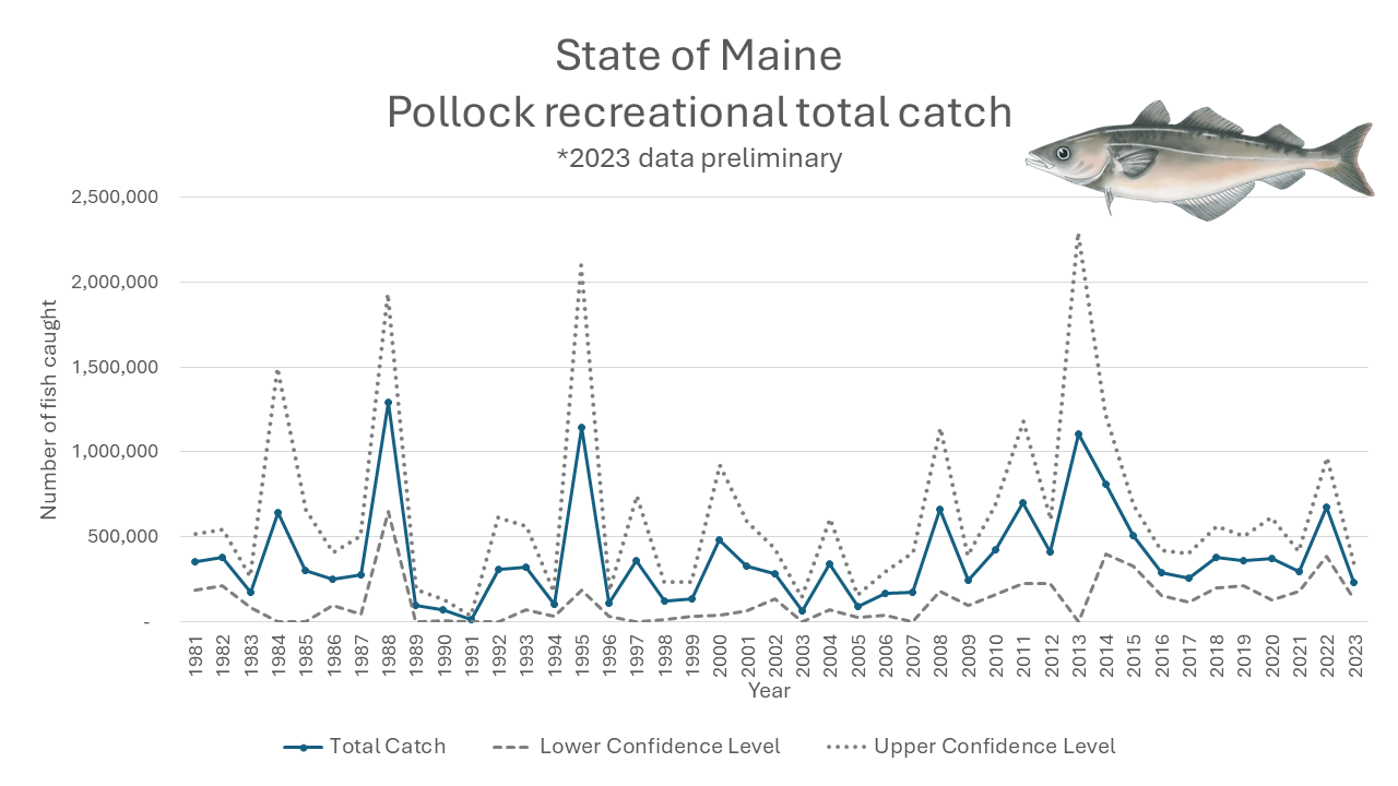 Pollock Recreational Harvest Estimated Numbers Caught