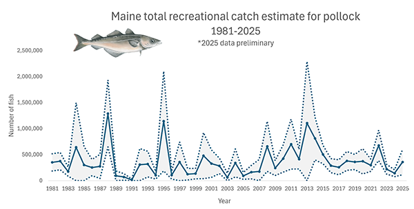 Pollock total 2025 catch