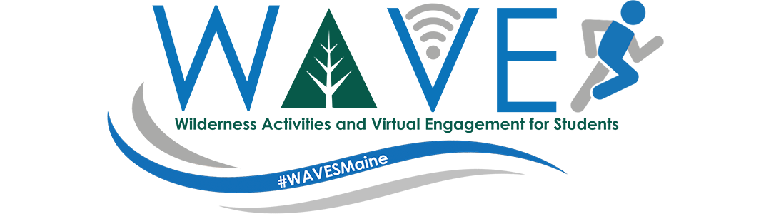 WAVES Logo