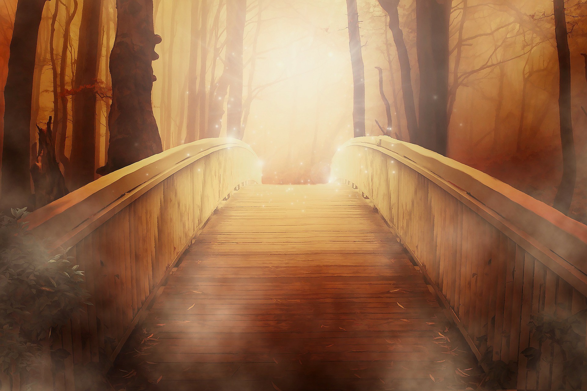 footbridge in the woods leading to sunlight