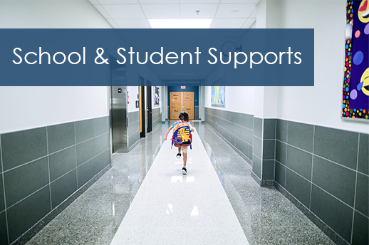 School and student supports