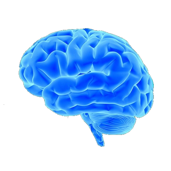 blue brain in profile