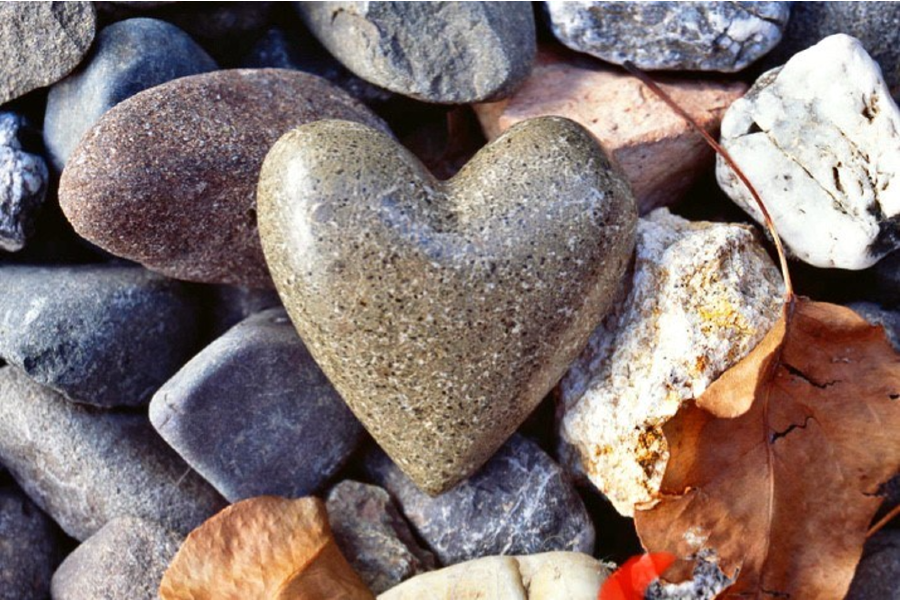 Pile of different colored and shaped rocks with a gray/brown rock shaped heart in the center
