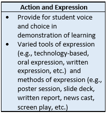 Chart titled action and expression with the following provide for student voice and choice in demonstration of learning, varied tools of expression (e.g., technology-based, oral expression, written expression, etc.) and methods of expression (e.g., poster session, slide deck, writeen report, news cast, screen play, etc.)