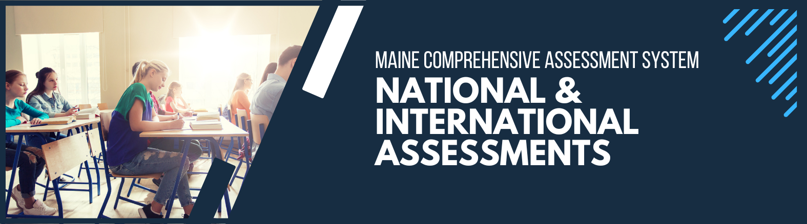 NAEP Banner