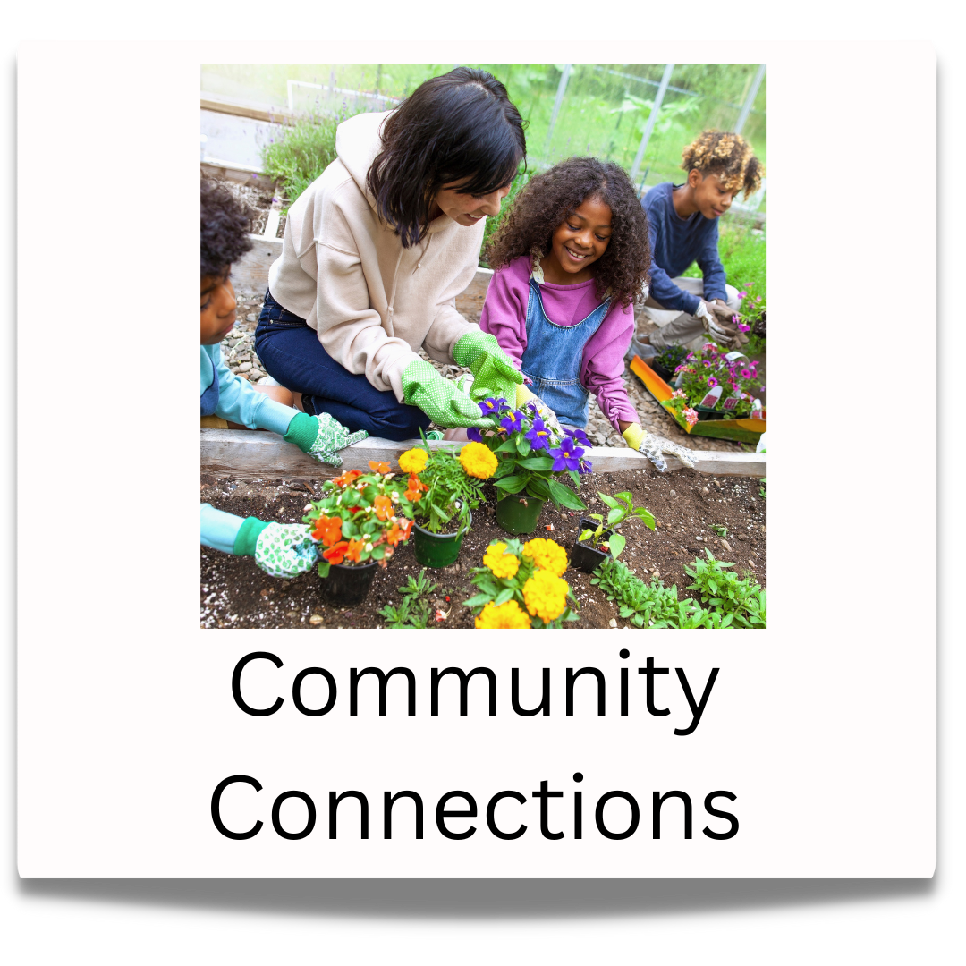 Community Connections button.  Click to visit the Community Connections professional learning page.