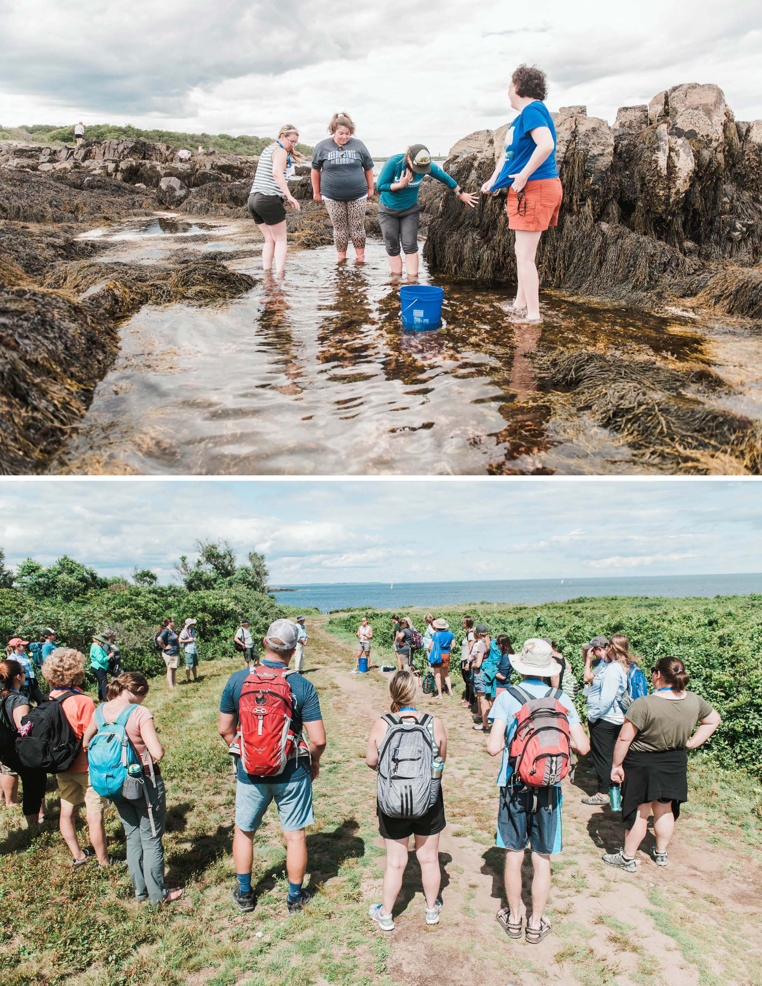 Teachers in a circle and exploring a tidal pool