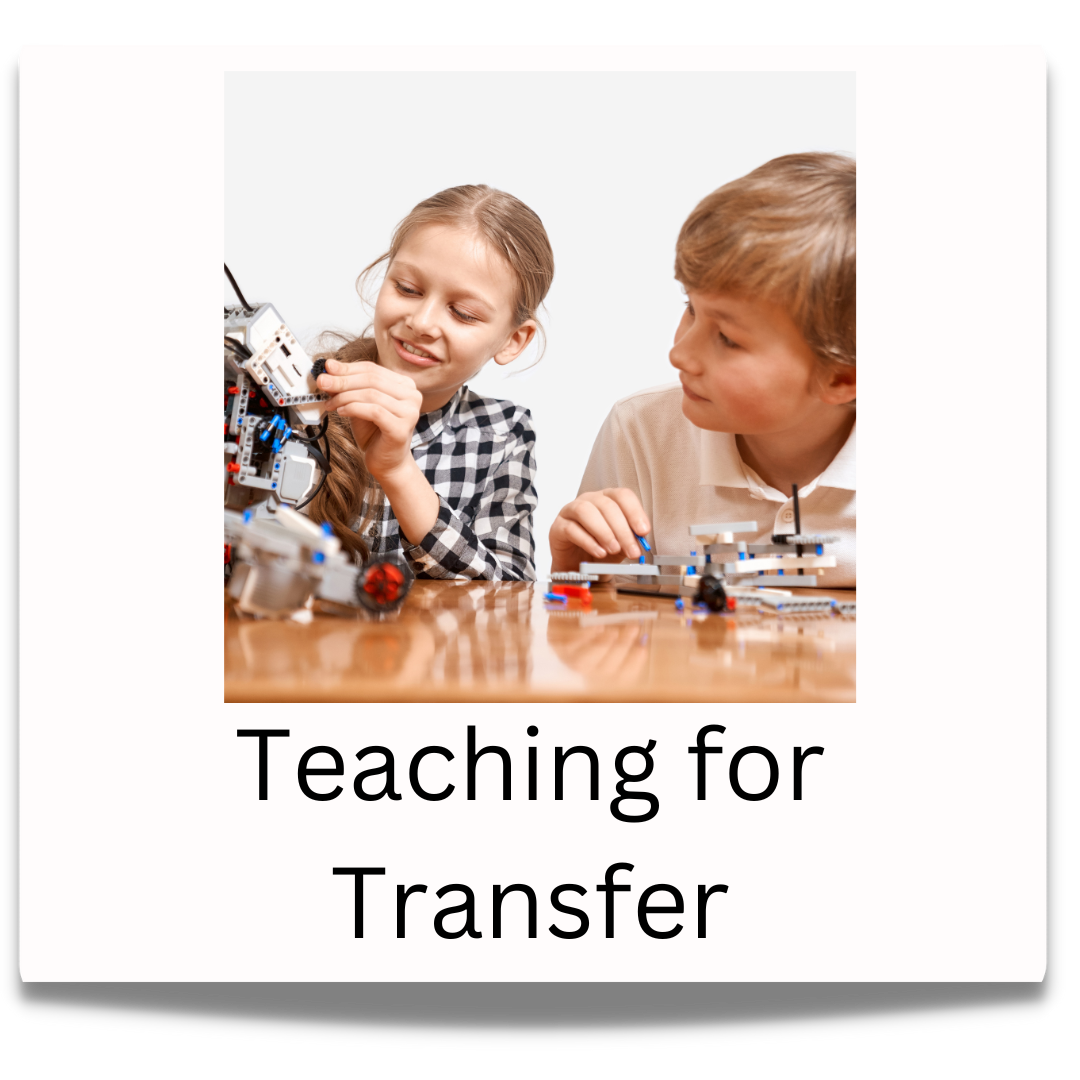 Teaching for Transfer Button