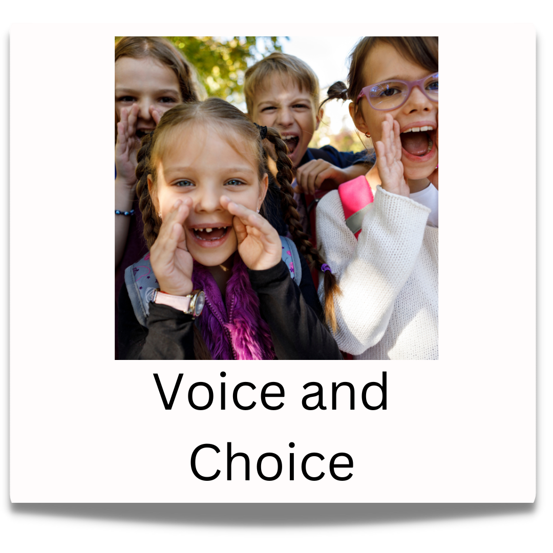 Voice and Choice Button
