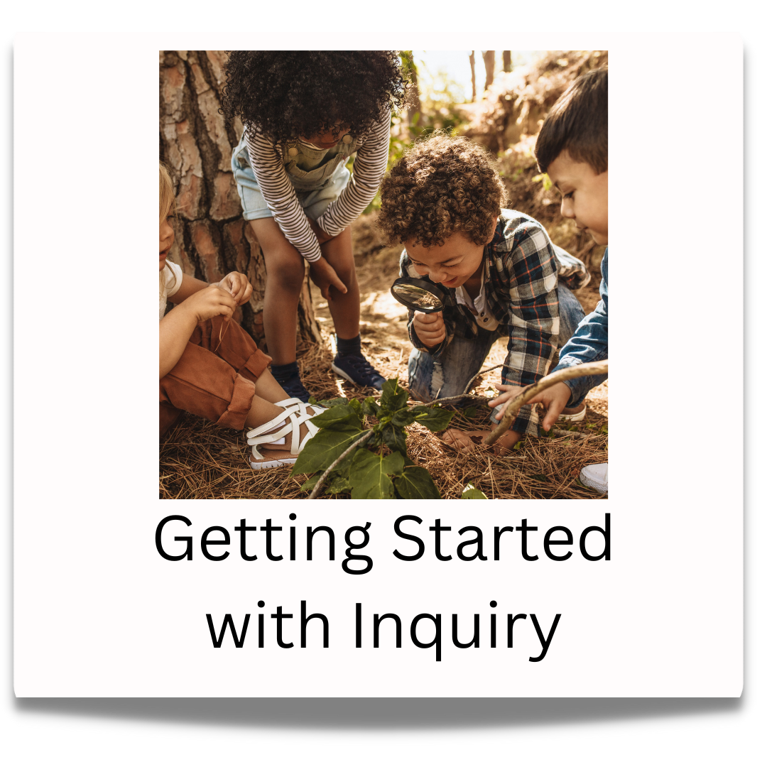 Getting Started with Inquiry button