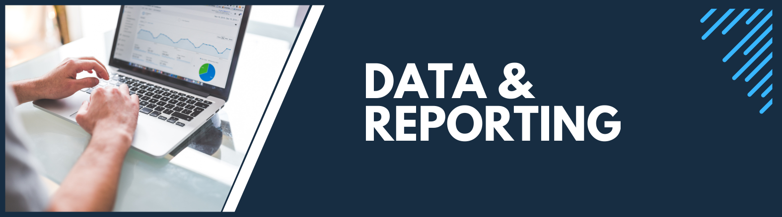 Data and reporting header