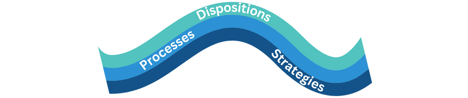 Dispositions, Process, Strategies