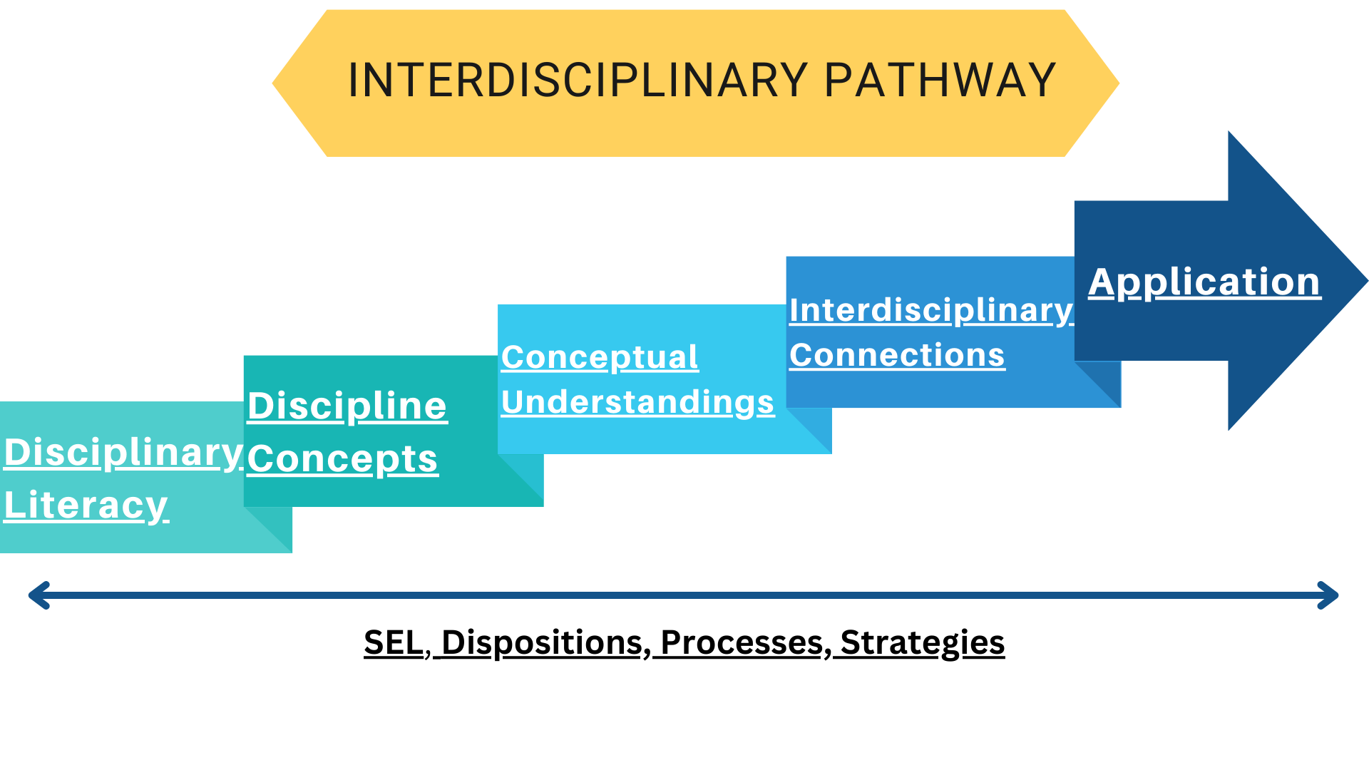 The Interdisciplinary progression