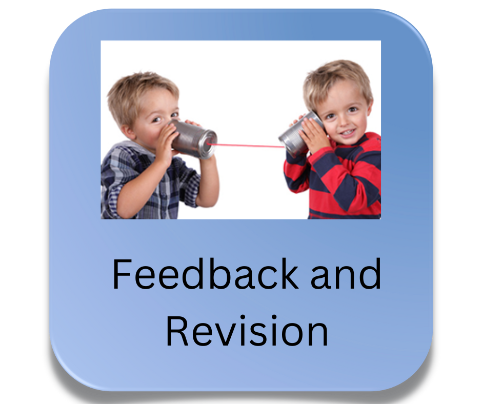 feedback and revisions module button