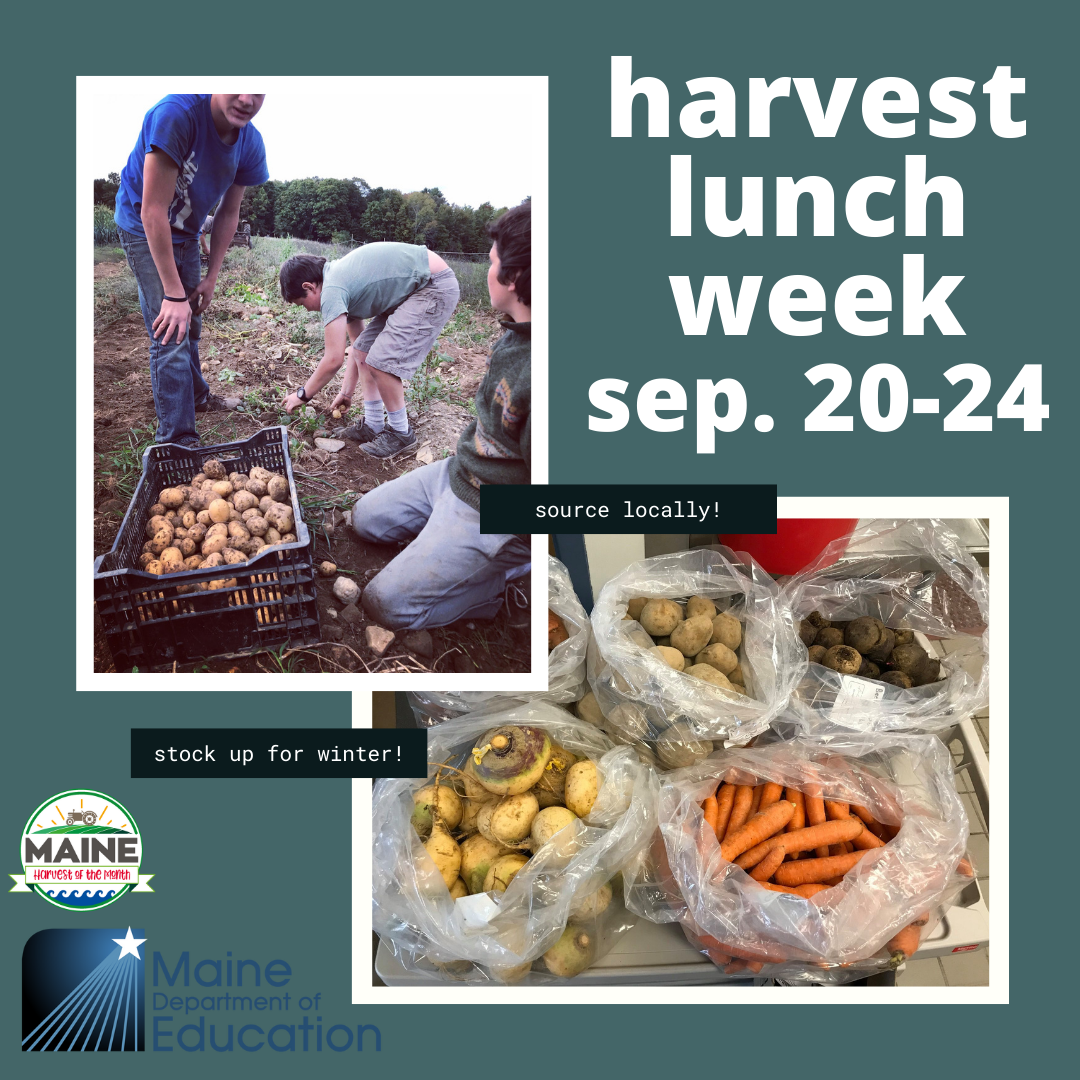 Harvest lunch week 