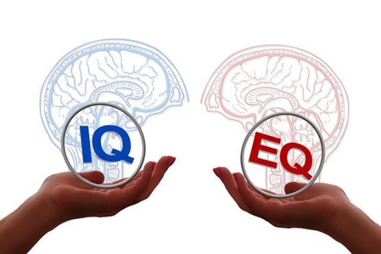 2 hands, each holding a brain.  The left brain has IQ and the right brain has EQ