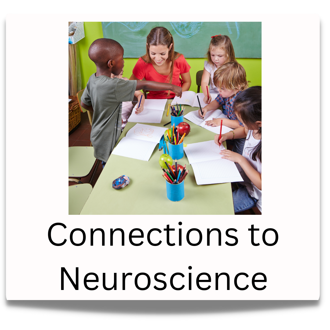 Connections to Neuroscience button.  Click to visit the connections to neuroscience professional learning page 