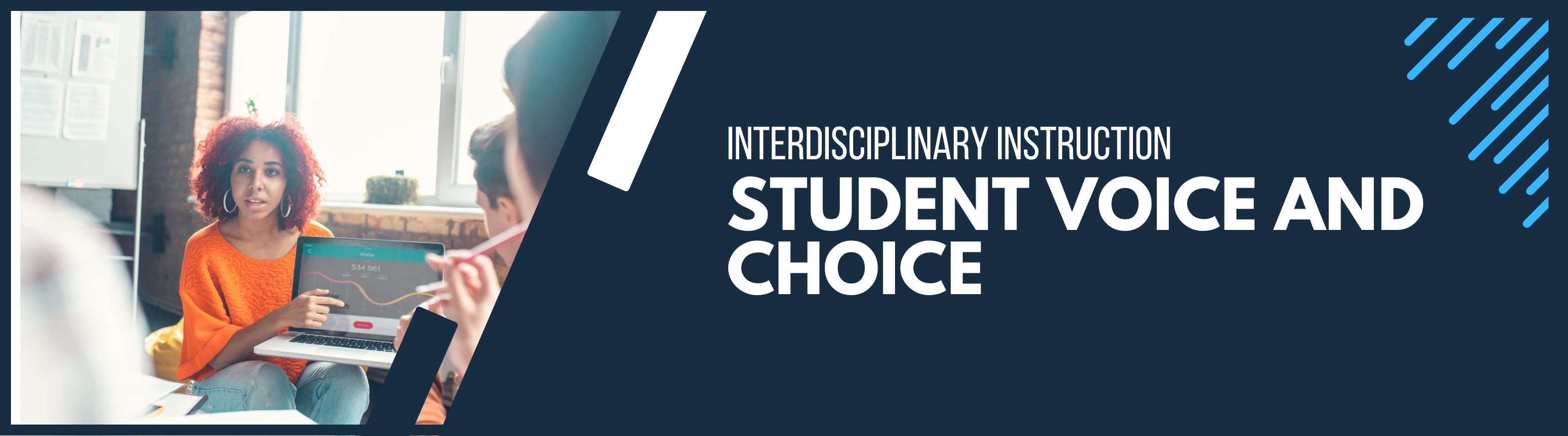 Student Voice Banner