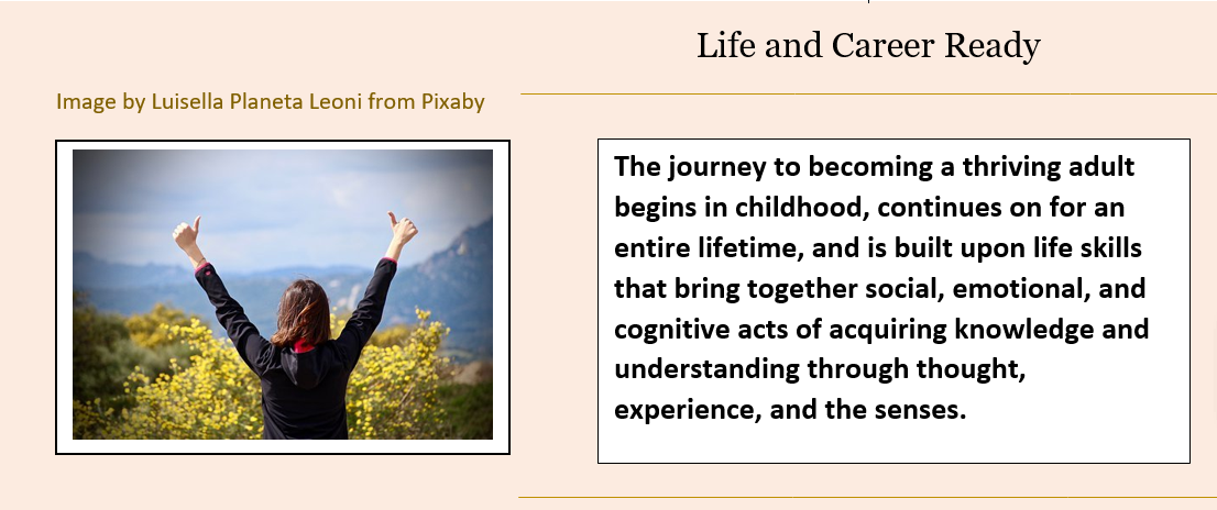 Galaxy image of the back of a woman standing on a vista looking out at the mountains in the distance with her arms raised above her head and her thumbs up. Text in picture:  The journey to becoming a thriving adult begins in childhood, continues for an entire lifetime, and is built upon life skills that bring together social, emotional, and cognitive acts of acquiring knowledge and understanding through thought, experience, and the senses.