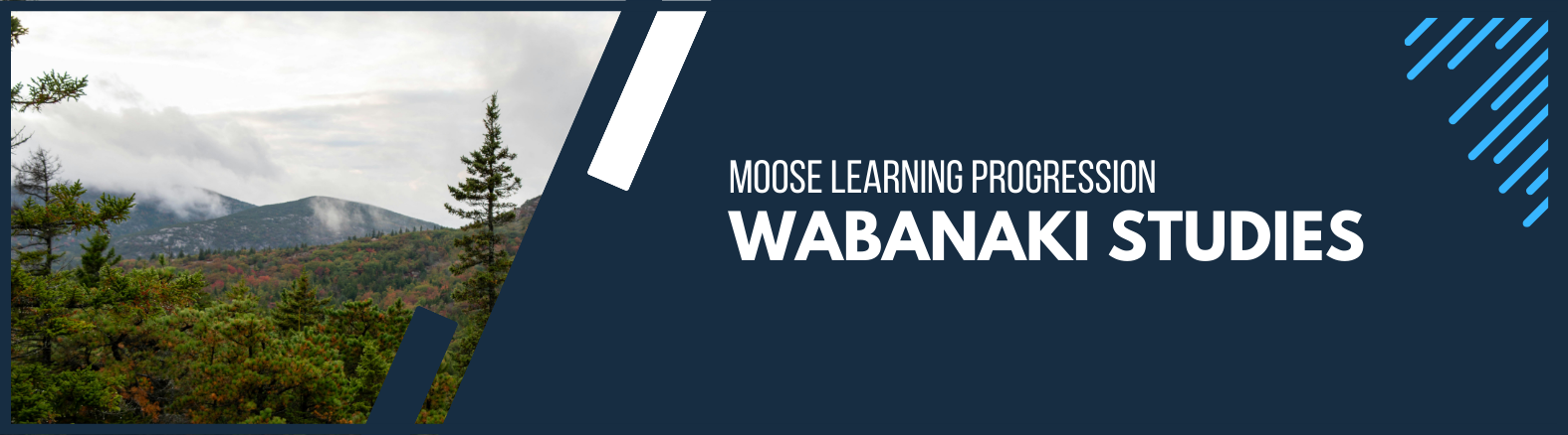 learning banner